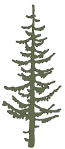treebitch